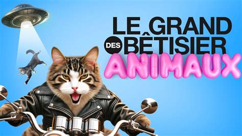 virtual pet games|Forum: Bêtisier le plus fou des profs & des élèves (page 23).